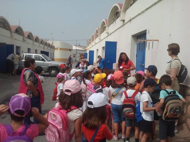  Visite guidate per le scuole 